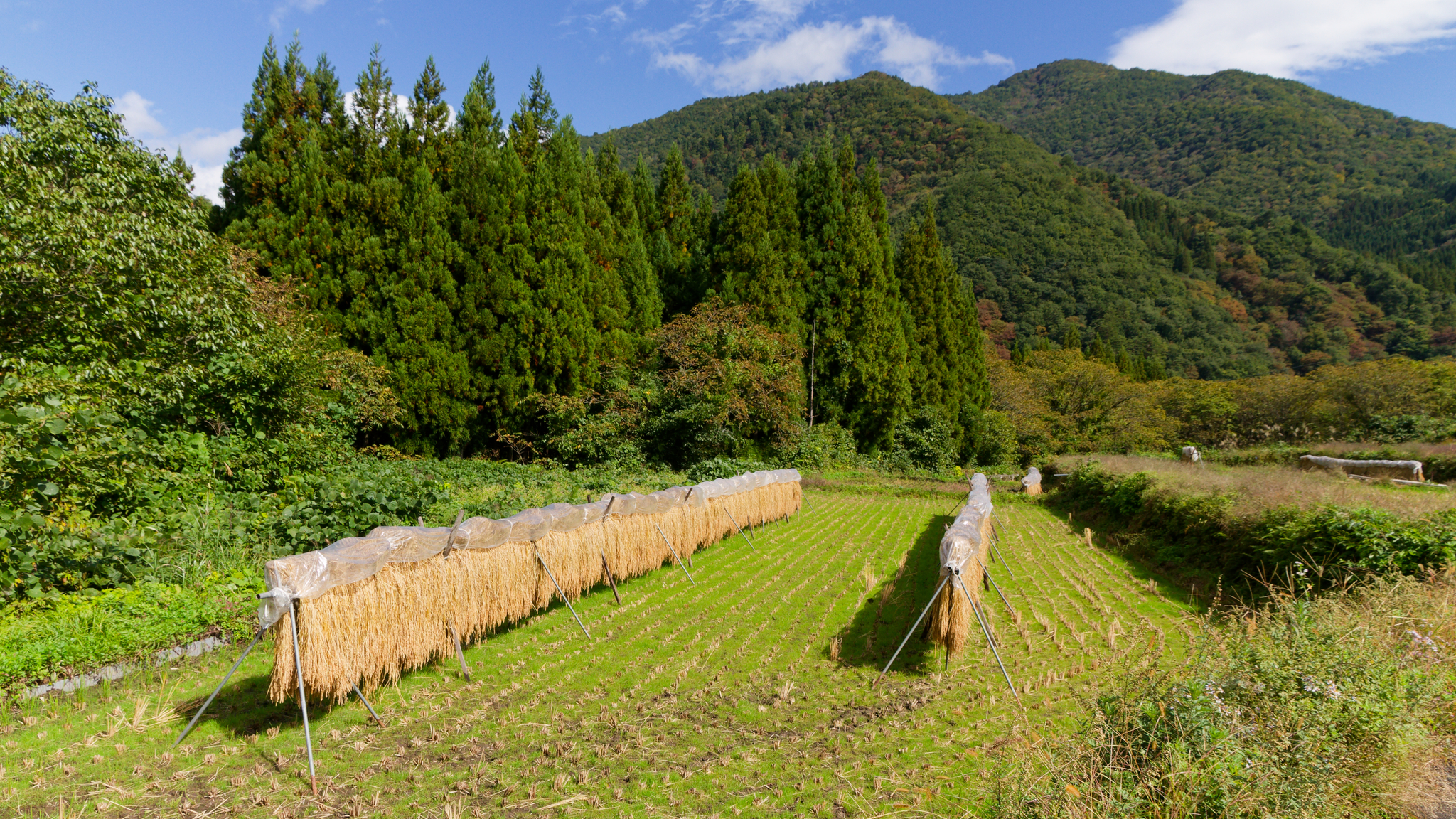 06-Shirakawa-go (2).jpg